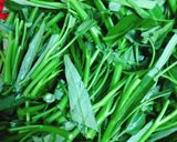 Hình bước làm 1 của món Canh Rau Muống Nấu Chả Cá