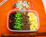 A picture of step 6 of 4-Colour Bento.