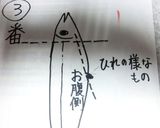 A picture of step 10 of How to Easily Butterfly Sardines.