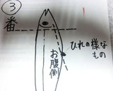 A picture of step 10 of How to Easily Butterfly Sardines.