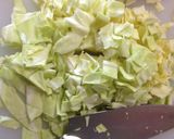 A picture of step 1 of A Single Serving Okonomiyaki with Just Cabbage.