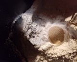 Foto del paso 3 de la receta: Pan Básico Wurden Mejorado