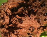 Foto langkah ke 3 dari resep Chocochip Almond Cookies.