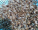 A picture of step 1 of Sprouted moth dal vadas.