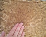 A picture of step 3 of Crispy Graham Crackers.