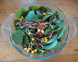 Foto del paso 8 de la receta: Ensalada de espinacas con tocino Michi 🥬🥓