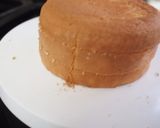 A picture of step 22 of Light and Moist Milk Sponge Cake.