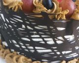 A picture of step 8 of Chocolate mint cake with chocolate cage.