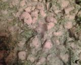 A picture of step 3 of Chicken & broccoli stuffed shells.