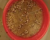 Foto del passaggio 4 della ricetta Quinoa tricolore con peperoni e tonno
