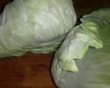 Sig's White Fish Pointed Cabbage Parcels recipe step 1 photo