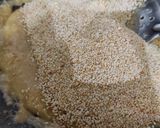 तिल मावा बर्फी (til mawa burfi recipe in Hindi) रेसिपी चरण 6 फोटो