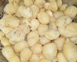 A picture of step 3 of Chilli Boondi.