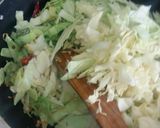 A picture of step 3 of Cabbage in fresh avatar.