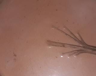 Puding cendol susu milo - Step 5