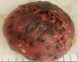 Foto langkah ke 20 dari resep Double Chocolate Sourdough Bread (Oven Tangkring).