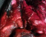 A picture of step 5 of Bloody Garlic & Parmesan Lungs ( Chicken Breast ) * halloween *.