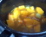 Foto del paso 2 de la receta: Sopa crema vegana de zapallo