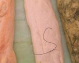 A picture of step 5 of Tri-colour Braided Bread.