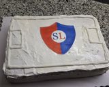 Foto del paso 9 de la receta: Torta de cumple "Cancha de fútbol"