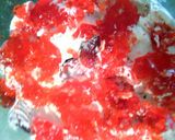 A picture of step 8 of Fruity Crystal Cake.