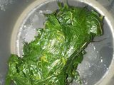 Tumis Daun Pepaya Jepang