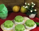 Foto langkah ke 2 dari resep Puding lumut pandan susu.
