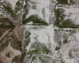 Foto del paso 7 de la receta: Raviolones de ricota, jamón, nuez y queso azul