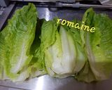 Foto langkah ke 1 dari resep 166. Romaine tumis saos tirem.