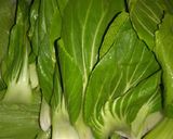 A picture of step 7 of Rose Wonton Soup With Bok Choy.