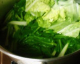 A picture of step 2 of Seconds Please! White Stew with Napa Cabbage and Turnip.