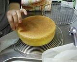 A picture of step 12 of Sponge Cake.