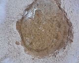 Foto del paso 2 de la receta: Pan integral