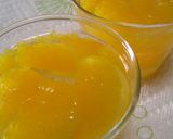 A picture of step 8 of Easy Fruit Jelly with Canned Fruit.