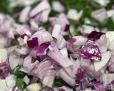 Foto del paso 1 de la receta: 🍷🍅🥫Chorizos al vino tinto con puré de papas 🥔 🥫🍝