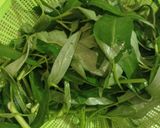Foto langkah ke 1 dari resep Tumis Kangkung Saus Tiram.