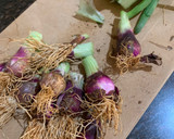 A picture of step 1 of Spring onion soup.