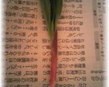 A picture of step 1 of How to Prepare and Enjoy Ramps.