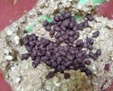 Foto langkah ke 2 dari resep Coffee Oatmeal Cookies.