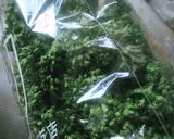 A picture of step 1 of Storing Parsley.