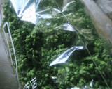 A picture of step 1 of Storing Parsley.