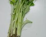 A picture of step 1 of Seasonal Spring Taste! Boiled Young Burdock (Leafy Burdock).