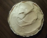 A picture of step 7 of Turtle Pie.