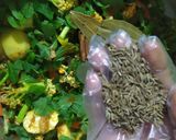વેજ દમ બિરયાની (Veg. Dum Biryani Recipe In Gujarati) રેસીપી સ્ટેપ5ફોટો