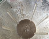 Foto del paso 8 de la receta: Crema de champiñones UTVCO