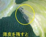 A picture of step 4 of How to Tear Lettuce to Make it Taste 10 Times Better.