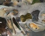 Foto langkah ke 2 dari resep KERANG IJO bukan SAUS PADANG (#9).