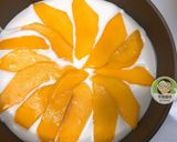 免烤玉文芒果優格乳酪蛋糕的食譜步驟13照片