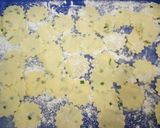 Foto langkah ke 4 dari resep Keripik Pangsit Bawang Mocaf.