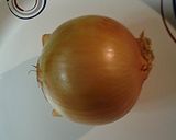 A picture of step 1 of One way to chop an onion.